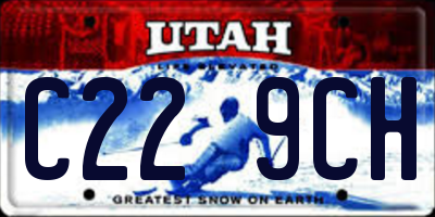 UT license plate C229CH