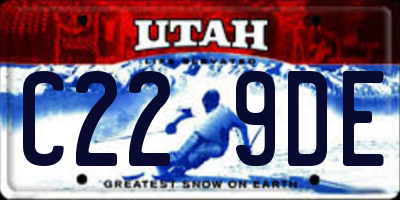 UT license plate C229DE
