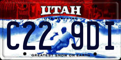 UT license plate C229DI