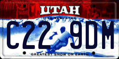 UT license plate C229DM