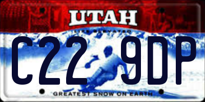 UT license plate C229DP