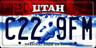 UT license plate C229FM