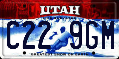 UT license plate C229GM