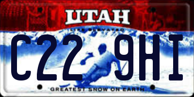 UT license plate C229HI