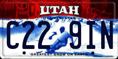 UT license plate C229IN