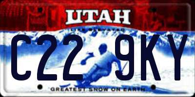 UT license plate C229KY