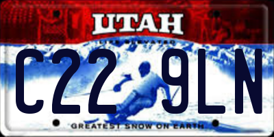 UT license plate C229LN