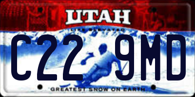 UT license plate C229MD