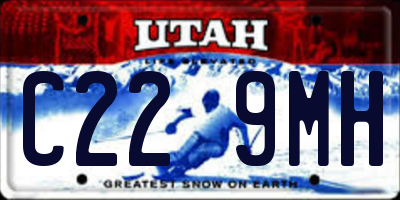 UT license plate C229MH