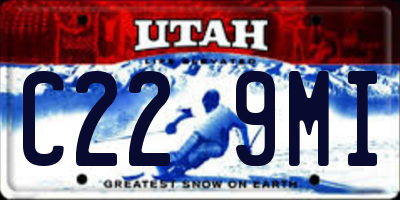UT license plate C229MI