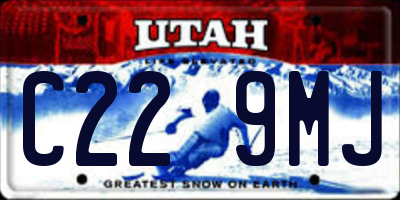 UT license plate C229MJ