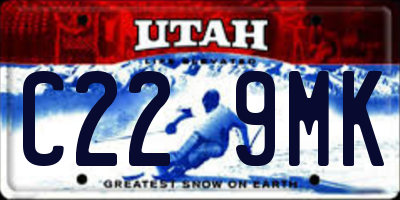 UT license plate C229MK