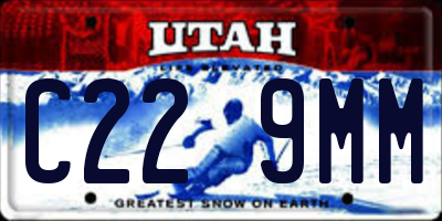 UT license plate C229MM