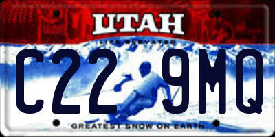UT license plate C229MQ