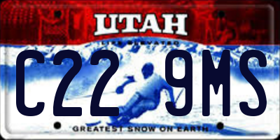 UT license plate C229MS