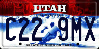 UT license plate C229MX