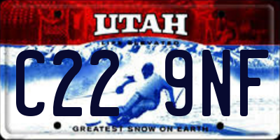 UT license plate C229NF