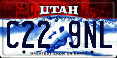 UT license plate C229NL