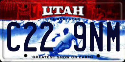 UT license plate C229NM