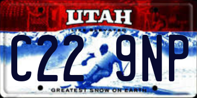 UT license plate C229NP
