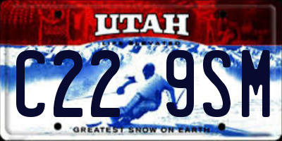 UT license plate C229SM