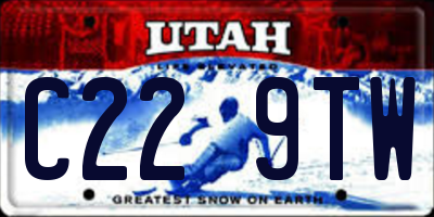 UT license plate C229TW