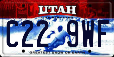 UT license plate C229WF
