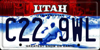 UT license plate C229WL