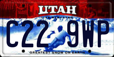 UT license plate C229WP