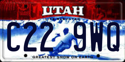 UT license plate C229WQ