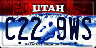 UT license plate C229WS
