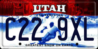 UT license plate C229XL