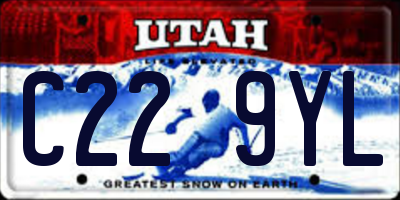 UT license plate C229YL