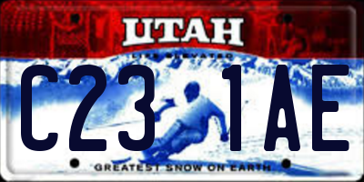 UT license plate C231AE