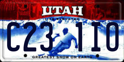UT license plate C231IO