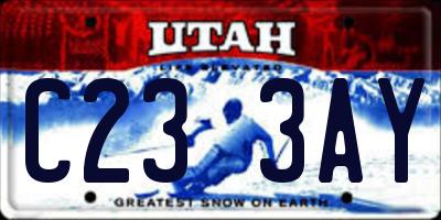 UT license plate C233AY