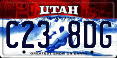 UT license plate C238DG