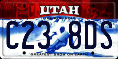 UT license plate C238DS