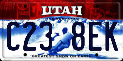 UT license plate C238EK