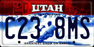 UT license plate C238MS