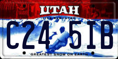 UT license plate C245IB
