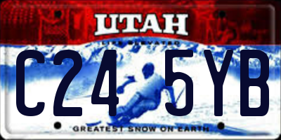 UT license plate C245YB
