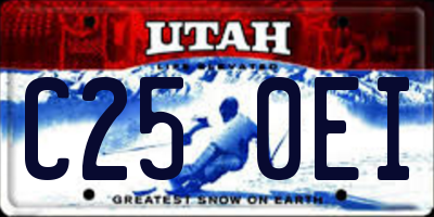 UT license plate C250EI