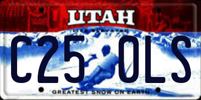 UT license plate C250LS