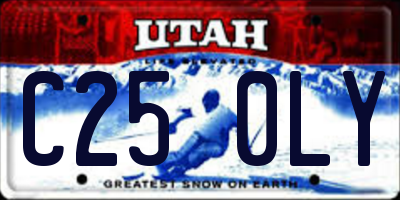UT license plate C250LY