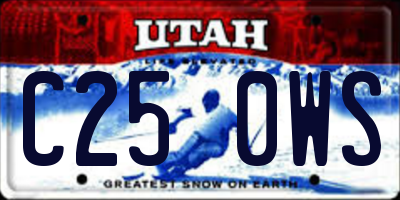 UT license plate C250WS