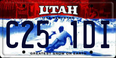 UT license plate C251DI
