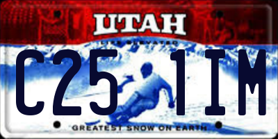 UT license plate C251IM