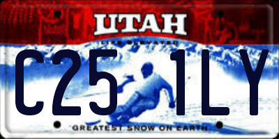 UT license plate C251LY
