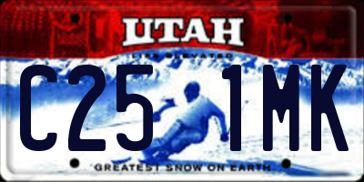 UT license plate C251MK